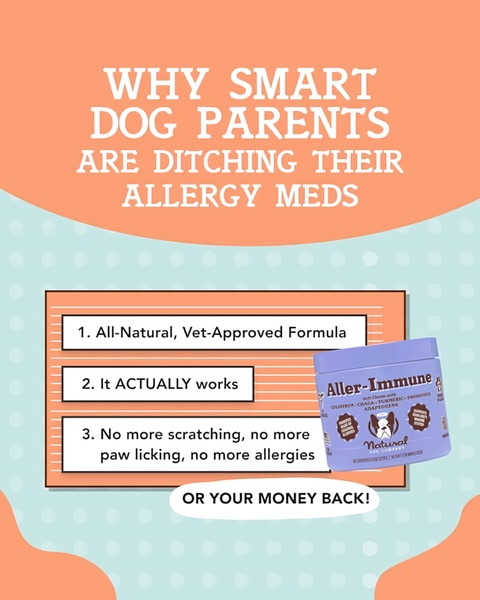 A clean, list-based educational ad highlighting the benefits of an all-natural dog allergy supplement.